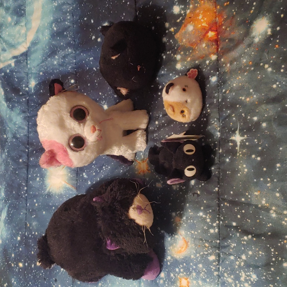 5 Piece Cat Bundle! 🐈
